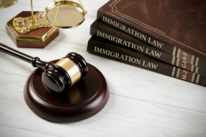 Immigration Law