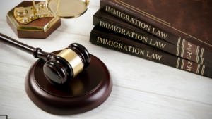 Immigration Law