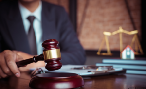 Intellectual Property Law